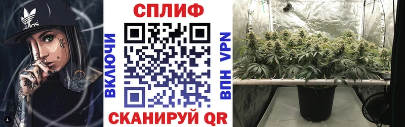Бошки марихуана тримм Дегтярск